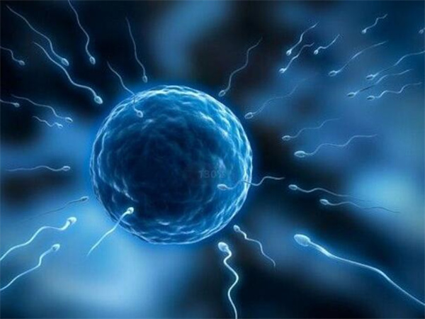 未婚女性能不能在俄罗斯做试管婴儿助孕？